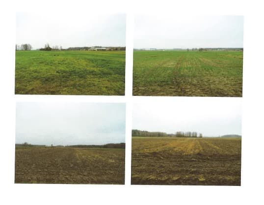 The Syndicate will sell 1/16 agricultural parcels of Grębków, reduced price
