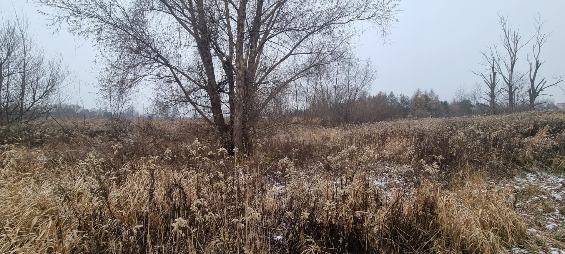 The syndicate will sell the plot in Lublin (meadow)