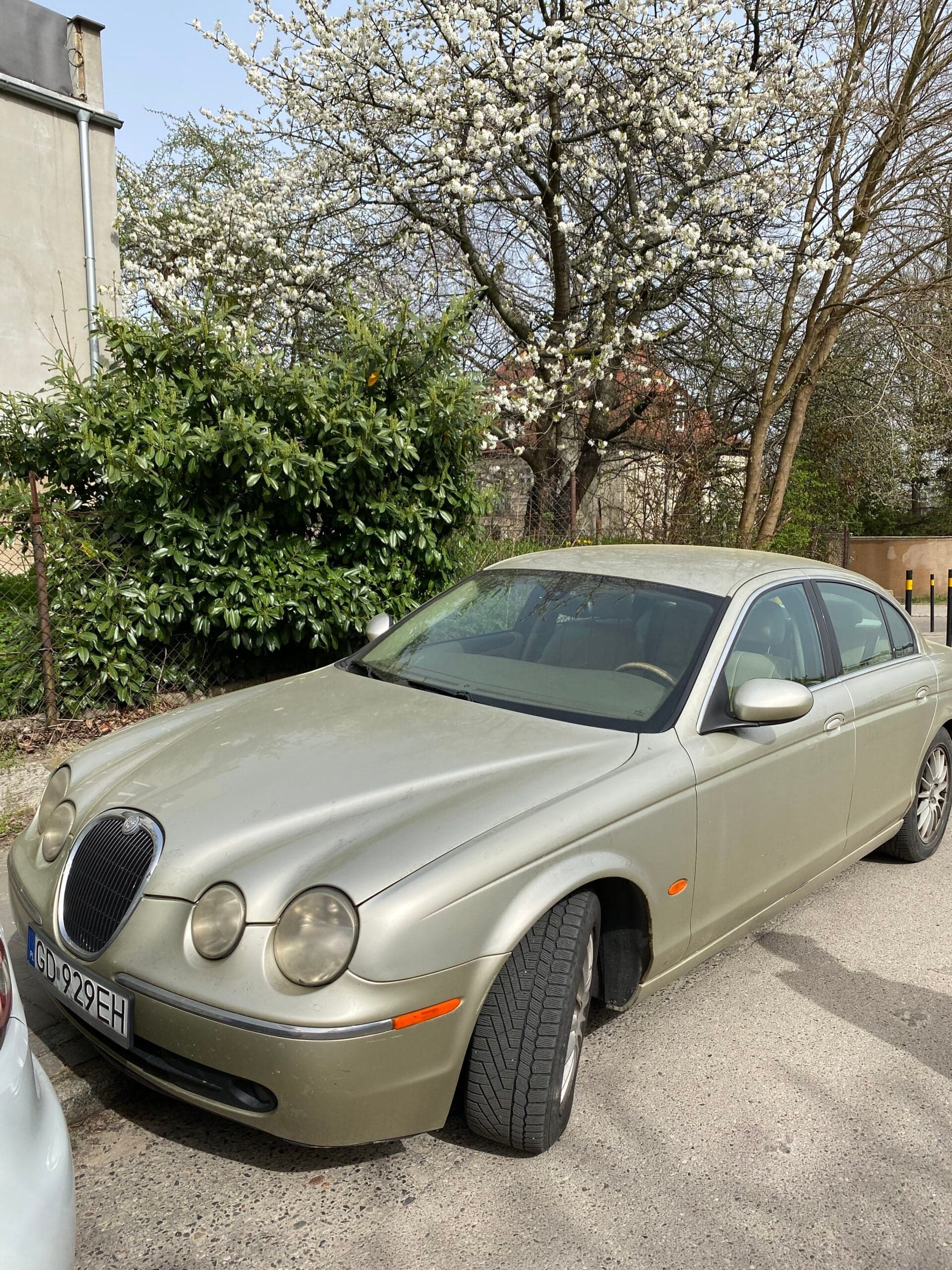 Syndic sells co-ownership right in Jaguar S-Type