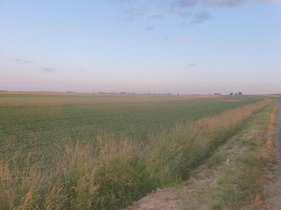 The syndicate will sell unbuilt land