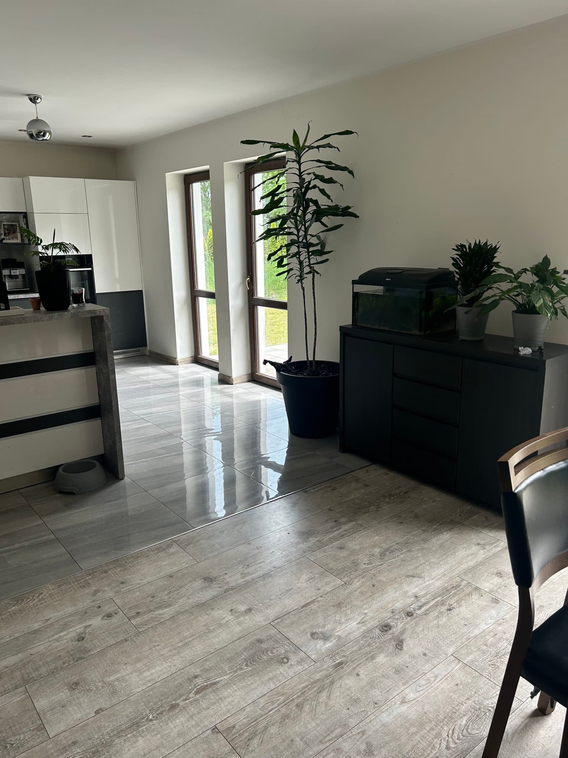 The syndicate will sell the built-in land property Itchyjevice