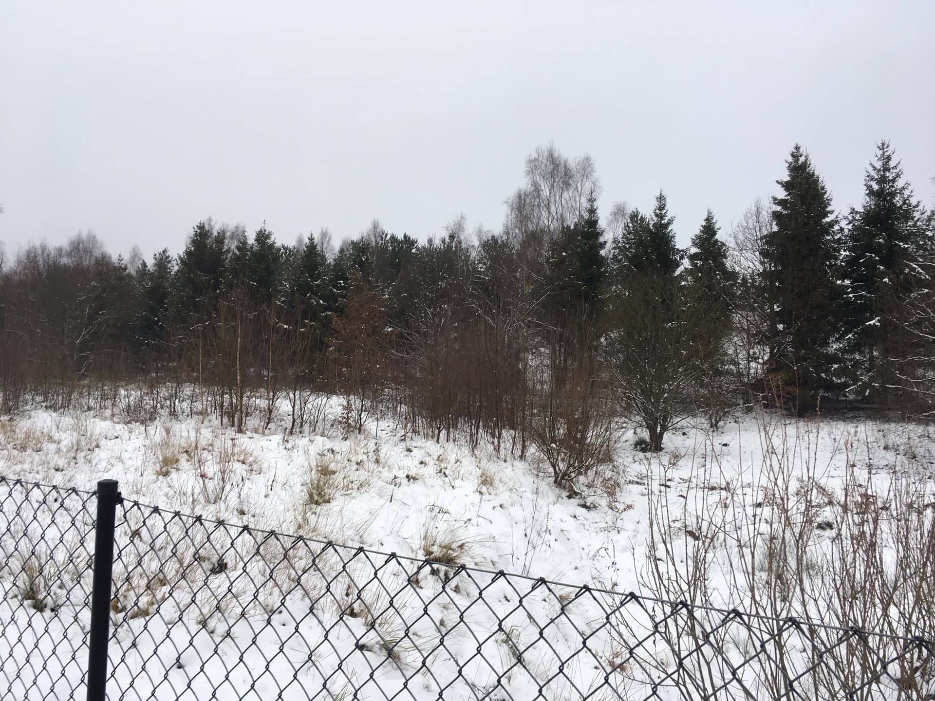 The syndicate will sell real estate in Kiełpin Górny