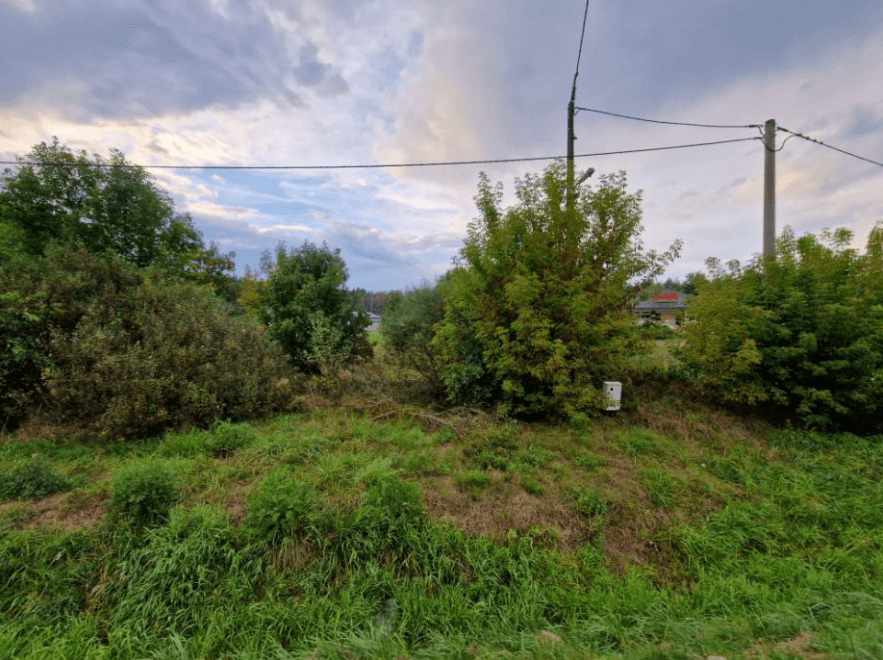 The syndicate will sell unbuilt property in the village Kissing, Karczew