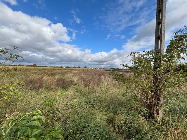 The syndicate will sell the unbuilt land property