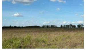 Land plots 338 and 340 - image 2