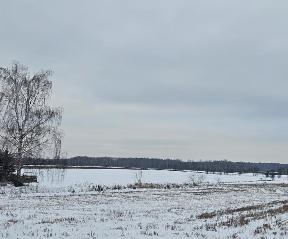 Land real estate, agricultural property, unbuilt Tomaszów Maz.