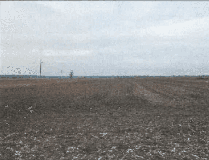 The syndicate will sell land real estate within Niektków