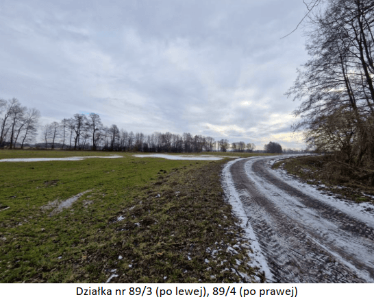 Sale of properties in Świątniki village