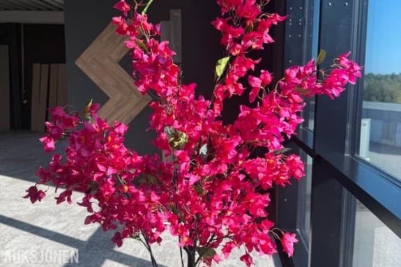 Kunstig plante 4 stk. - Bougainvillea med blomster – 180 cm