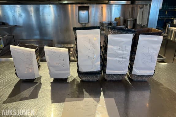 Con Gusto 35 firkantede serveringsskåler i ulike størrelser