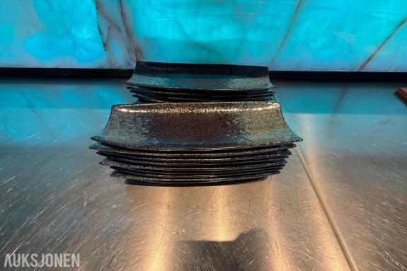 19 stk. rektangulære serveringsfat fra Cosy & Trendy – 32 x 12 cm – restaurantutstyr