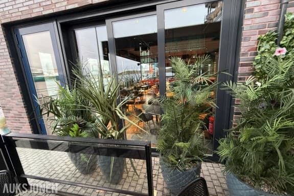 Stort parti blomsterpotter og planter – Diverse størrelser og utførelser 