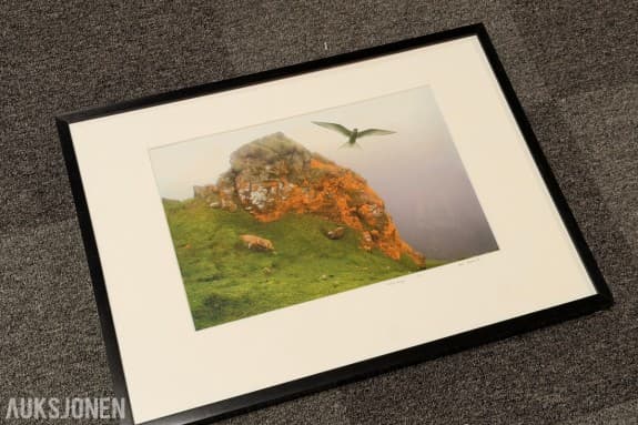Atle Helland - «Gult berg»