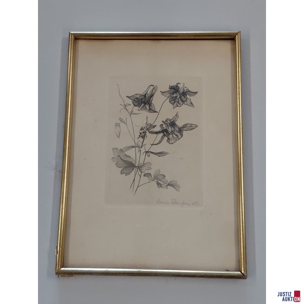 Picture - Botanical study with beetle