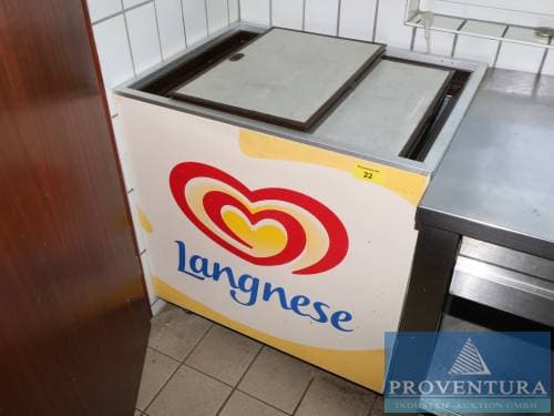 Eistruhe LANGNESE ca. 80x60 cm - image 3