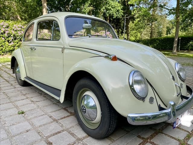 Volkswagen Beetle | 1960