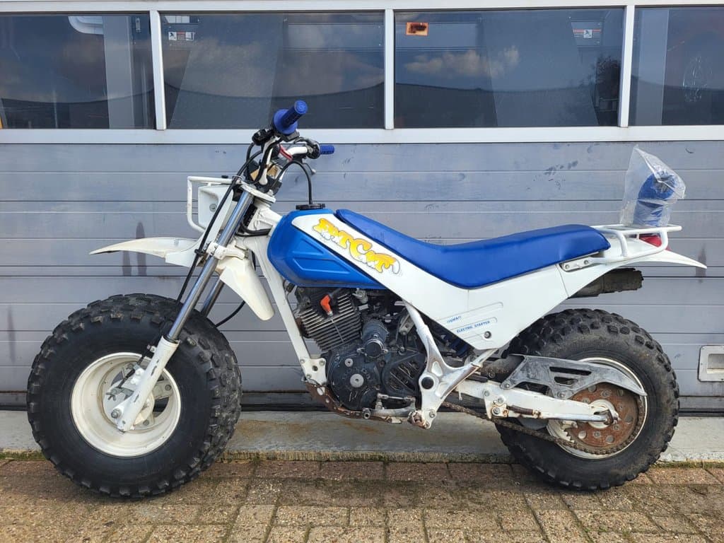 Honda TR200 Fat Cat | 1986