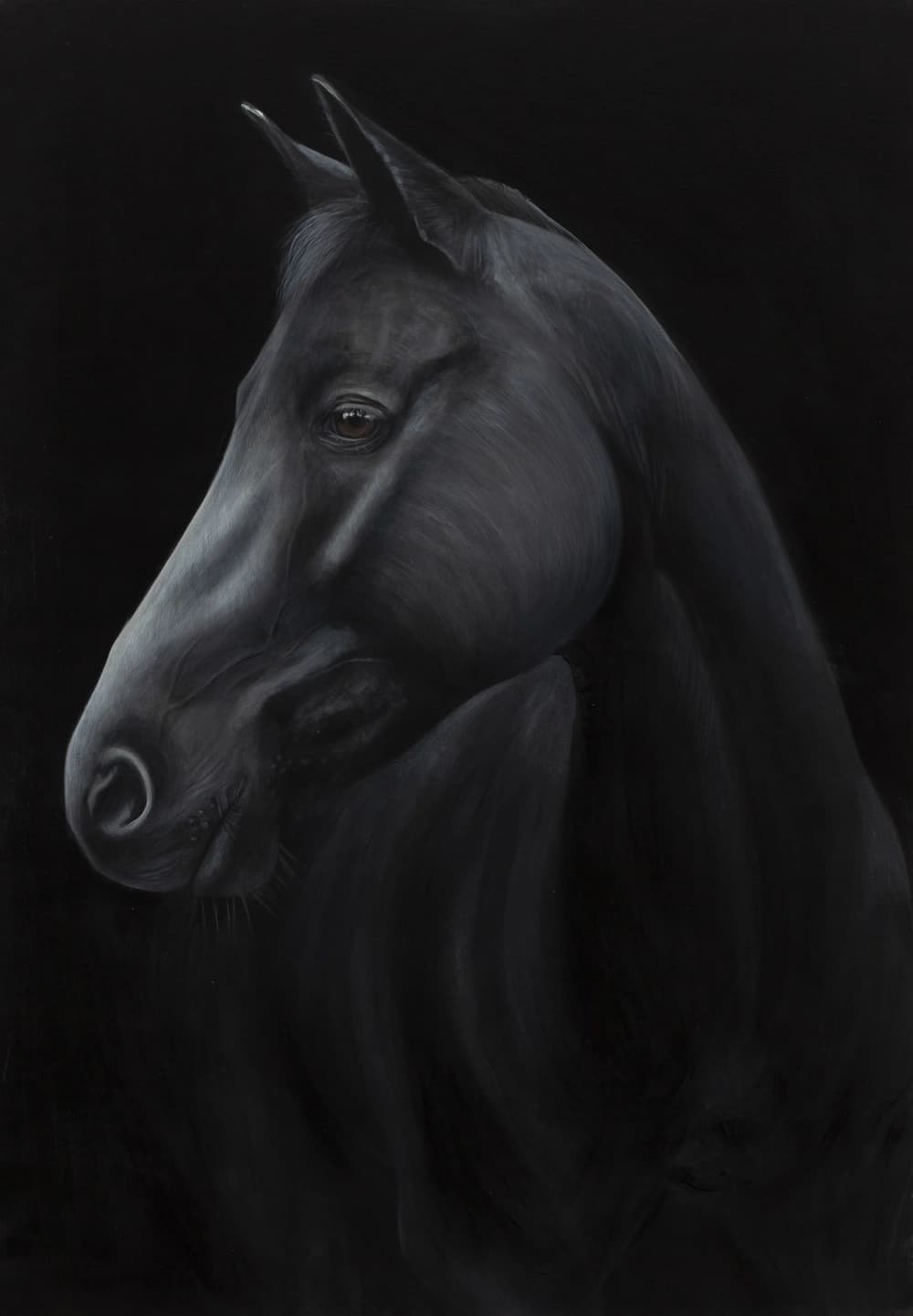 Paulina Wróblewska — "Echo", 2025