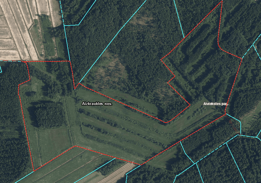 Timber harvest rights for Aizkraukles municipality