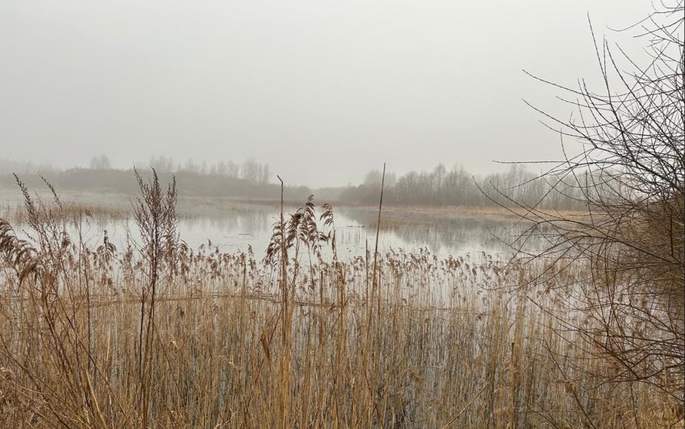 Lease Rights for 13.08 ha Land with Starpiņu Dīķis Pond
