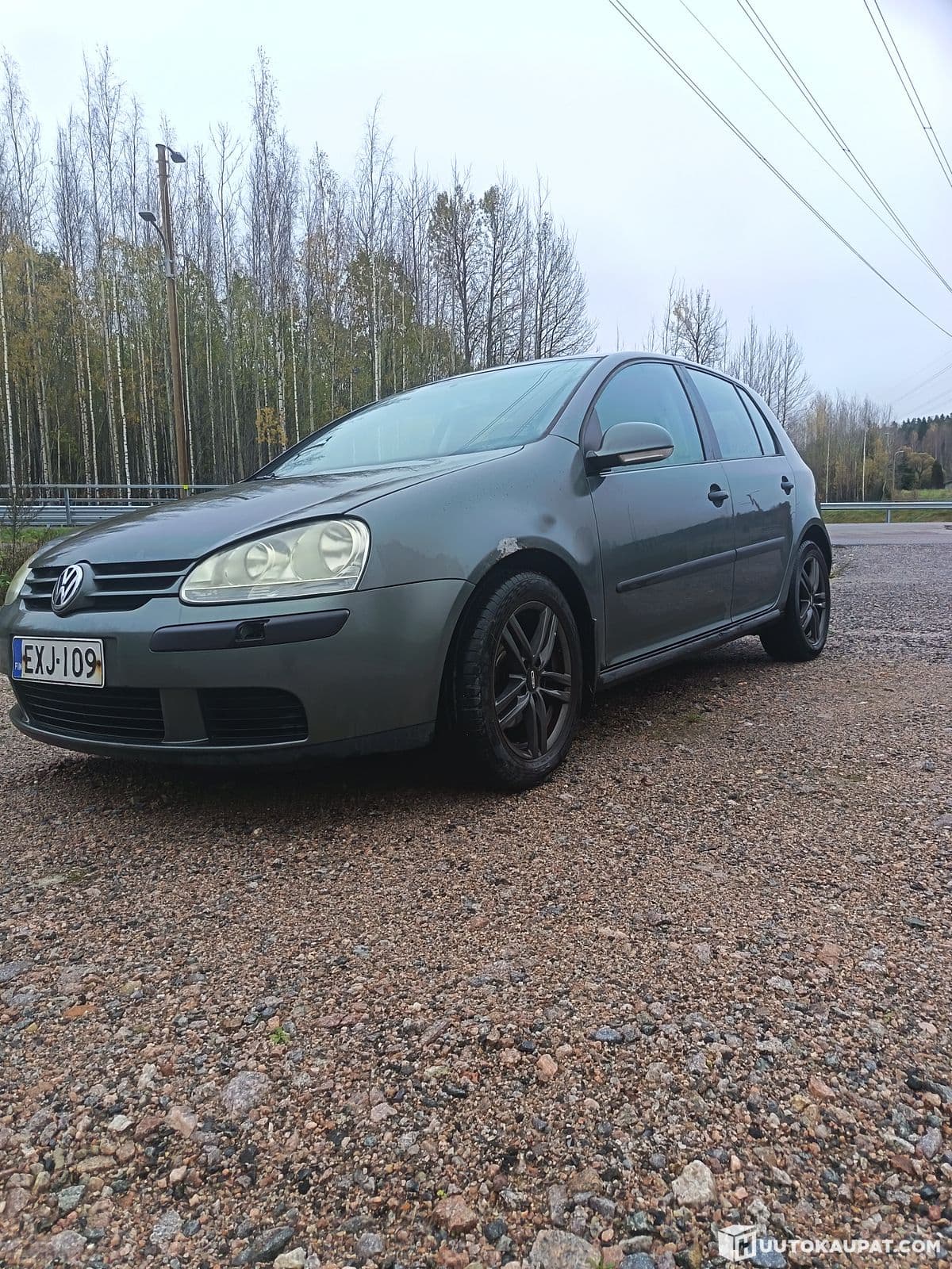 Volkswagen Golf, 2005, Vihti