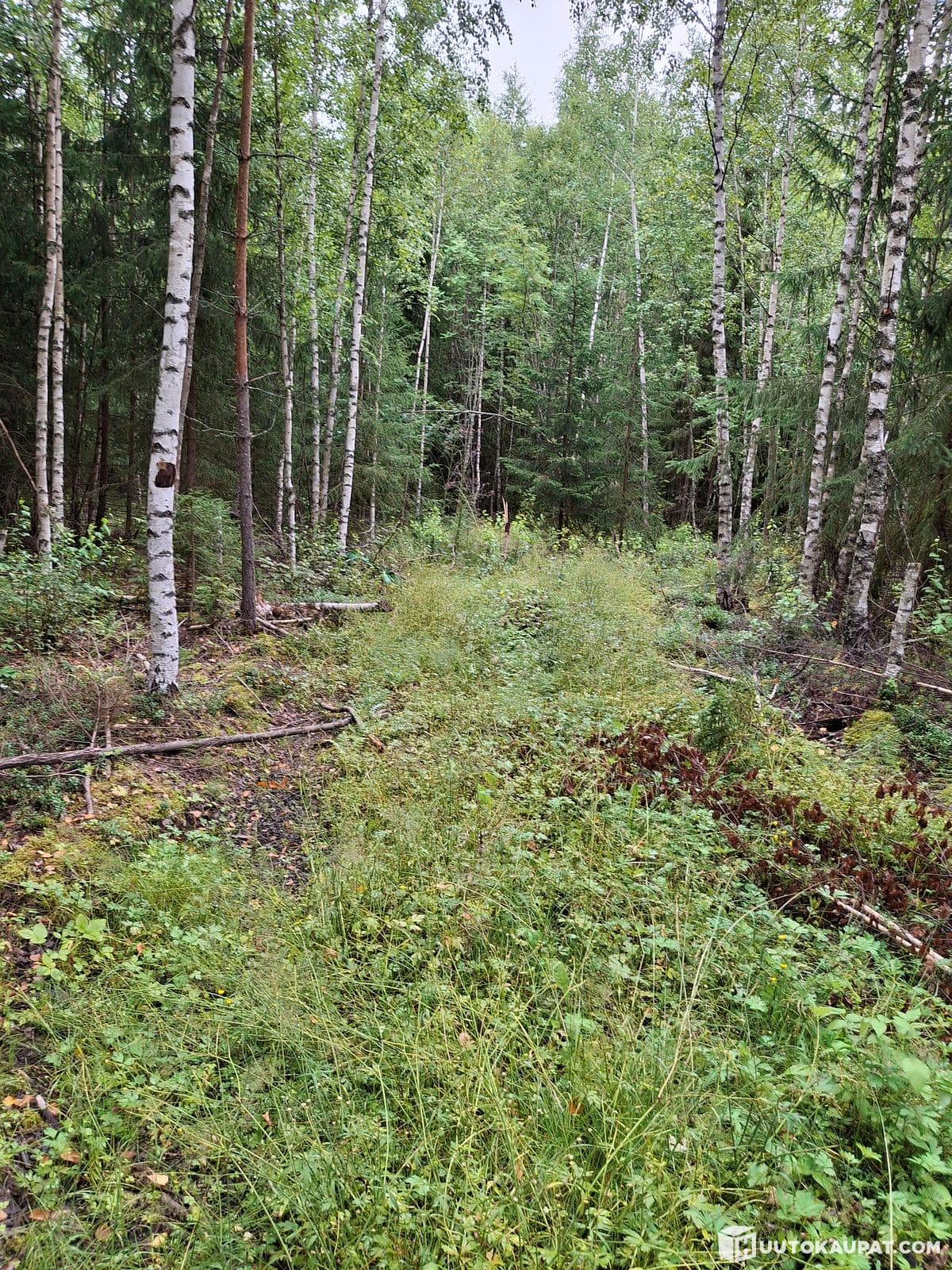 Rakentamaton kiinteistö 2,623 ha Vihdissä, Vihti