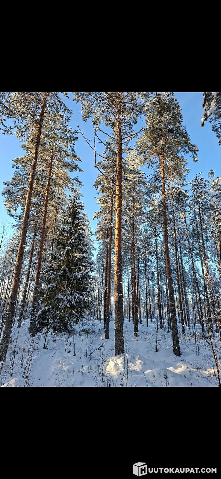 Forest Estate, Liminka, Liminka