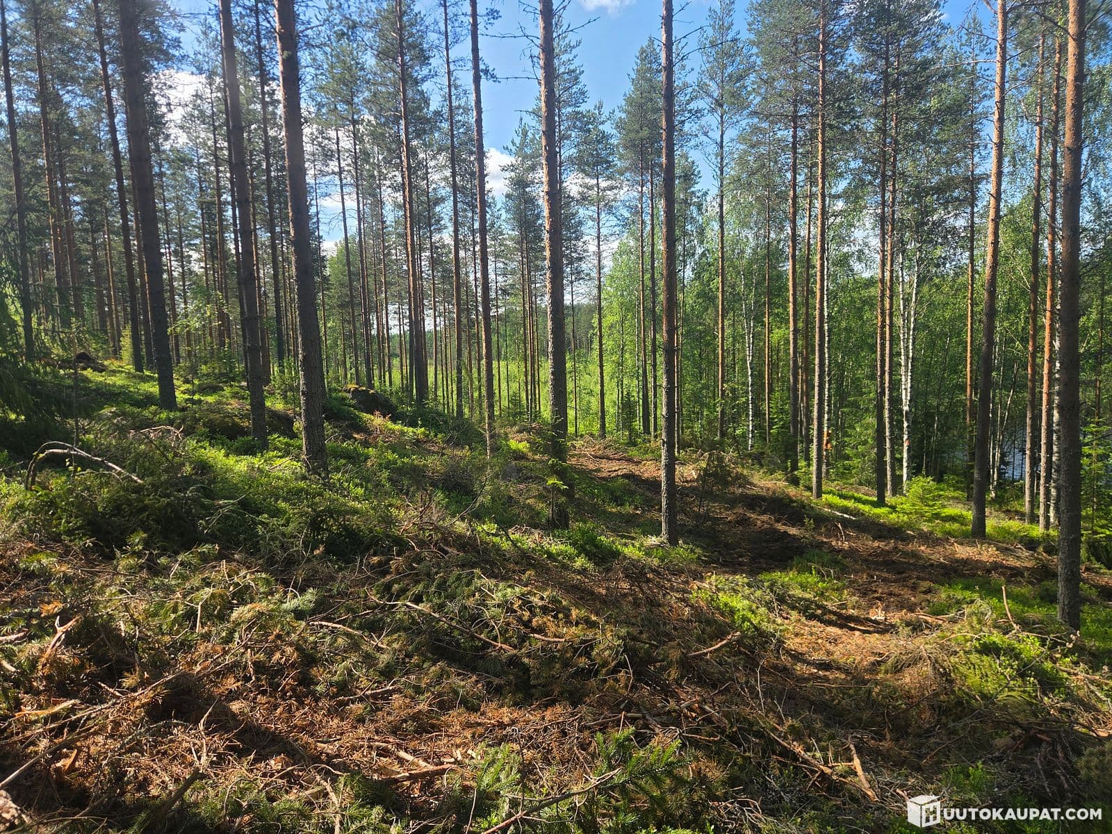 Ruokolahti Great-Kivisto free-time construction site (land)