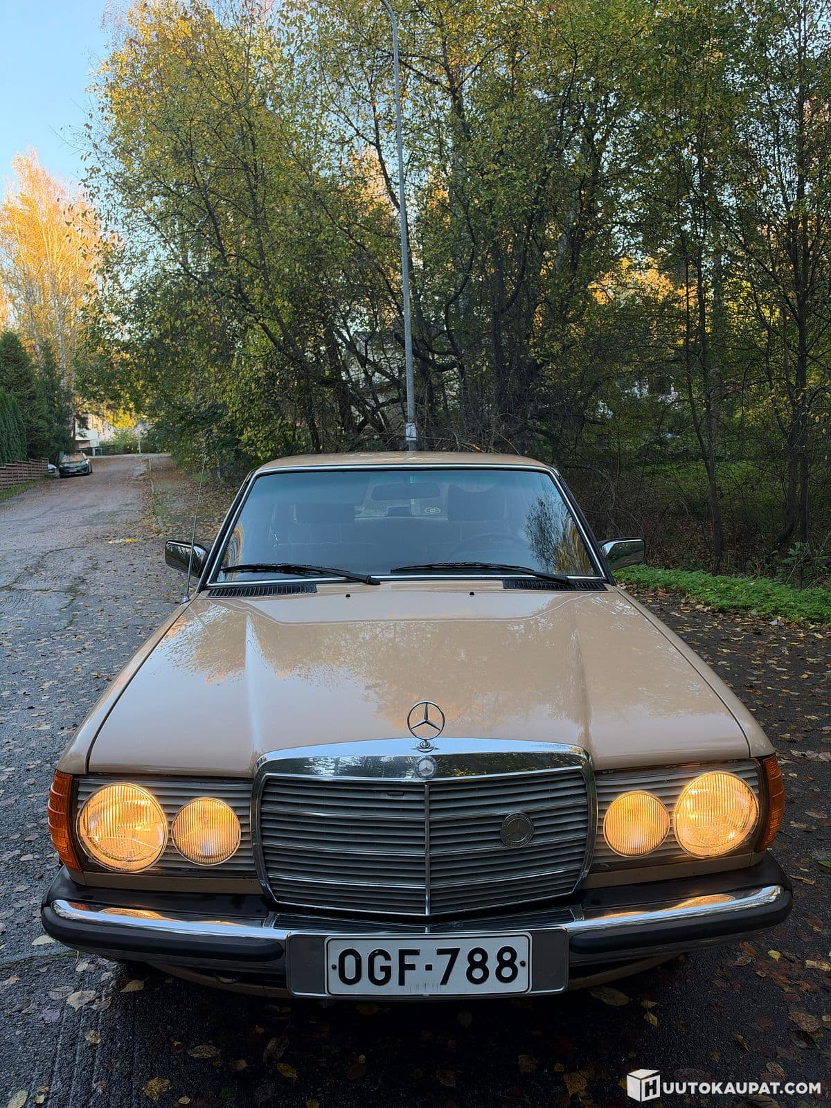 Mercedes-Benz 300, 1976, Helsinki