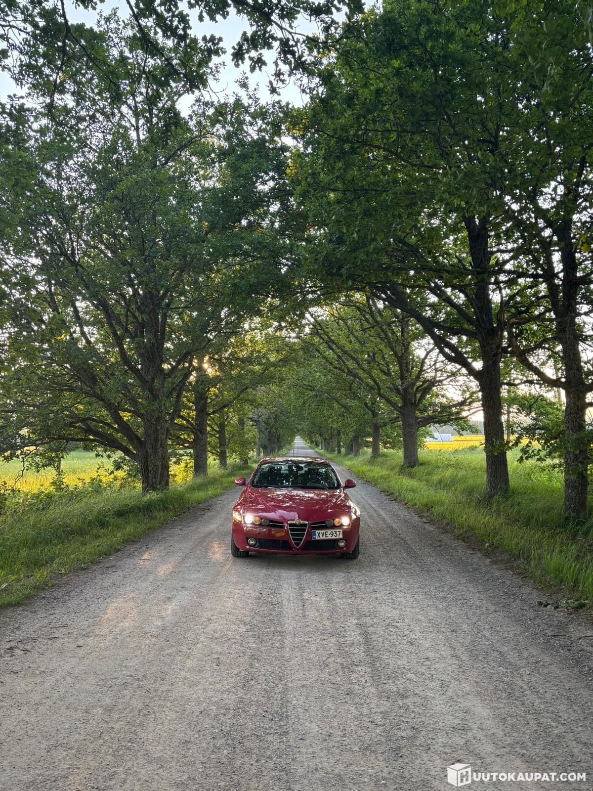 Alfa Romeo 159, 2009, Espoo
