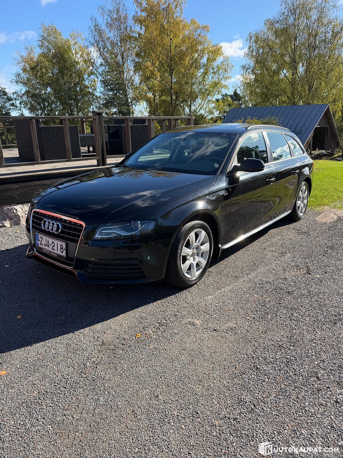 Audi A4, 2009, Raasepori