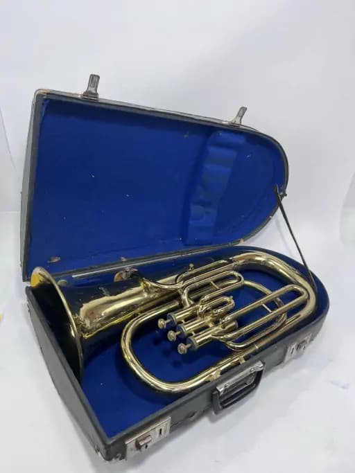 Amati Althorn with Case