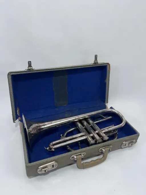 Trumpet in Case