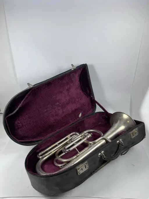 Althorn with Case