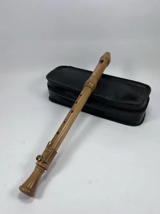 Wooden Tenor Recorder with Case