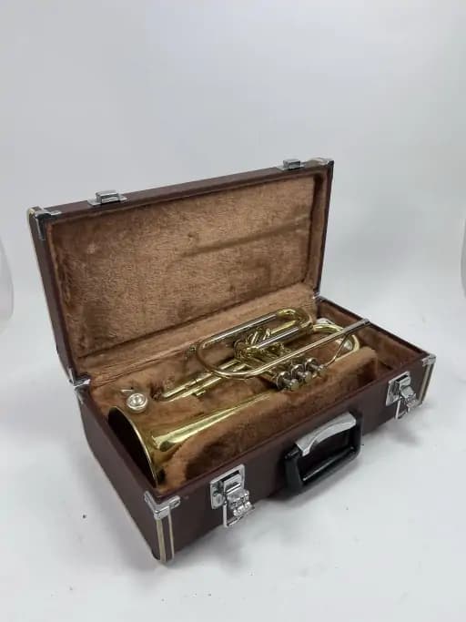 Cornet in Case