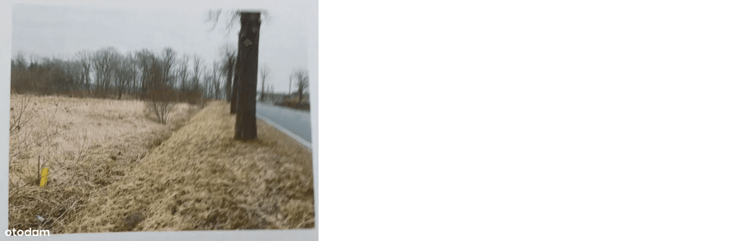 Bankruptcy trustee will sell the Agricultural Land . right of ownership