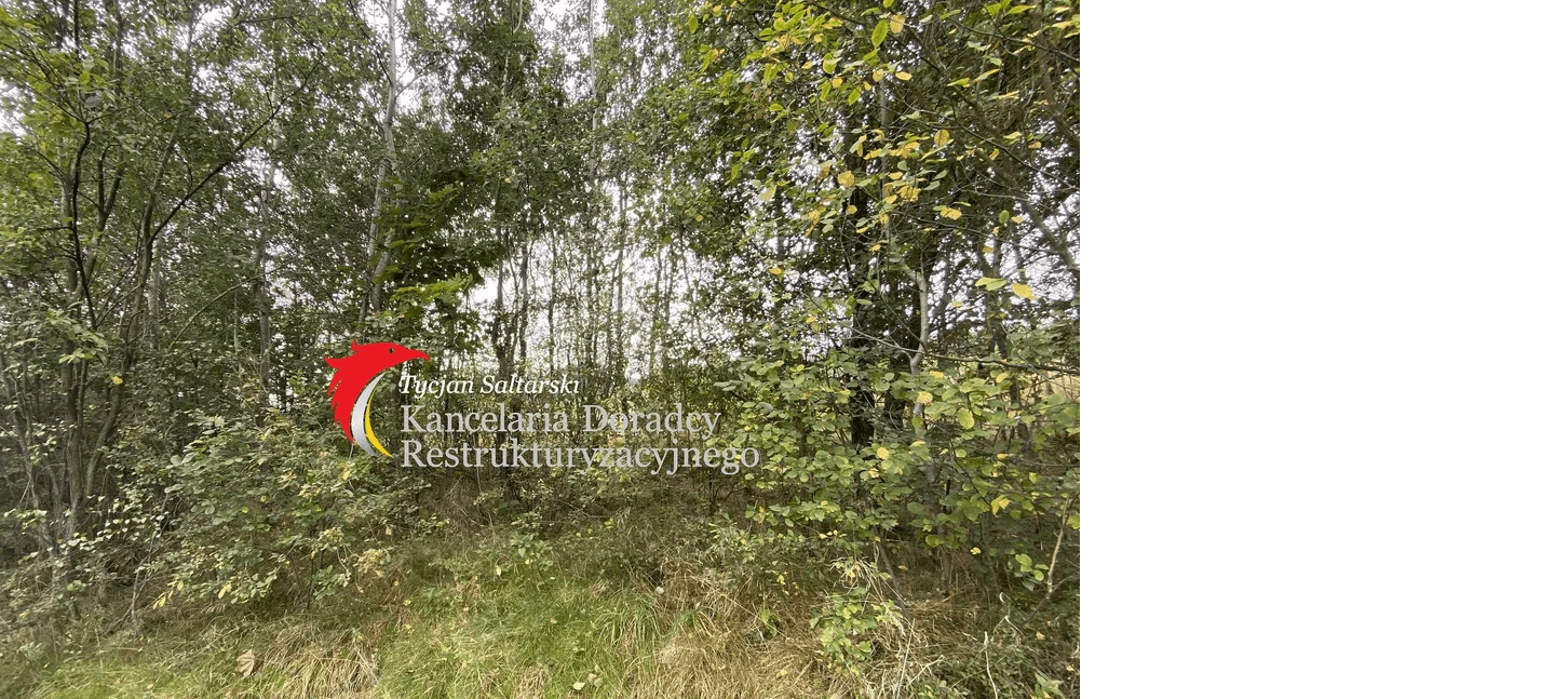 The syndic will sell an unbuilt plot in Masłów Pierwszy