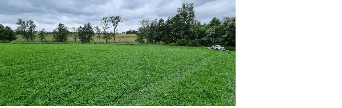 The syndicate will sell the agricultural plot 3,7900 ha in the New Great Village