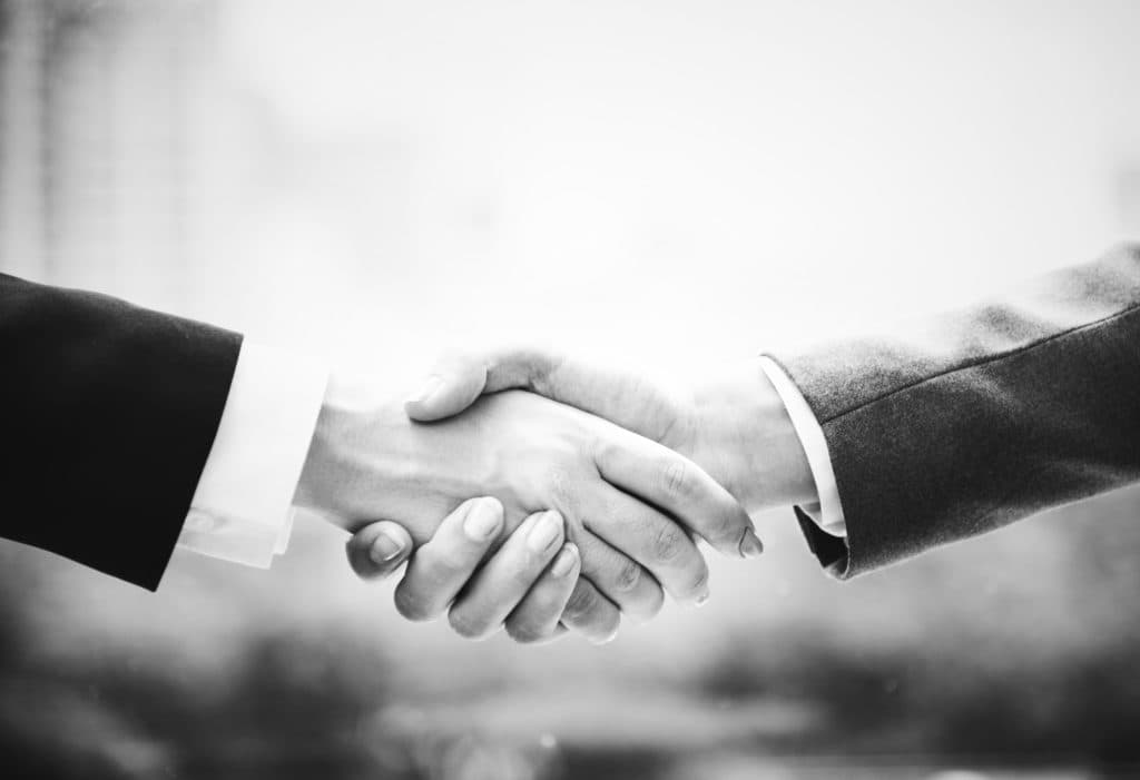 Syndic sells bankrupt's shares in LLC companies
