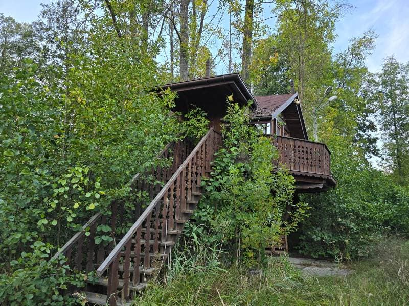 The syndicate will sell a recreational plot in Seredice Cologne