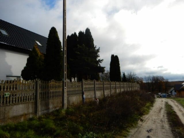 1/2 share in a freestanding house in Czepin