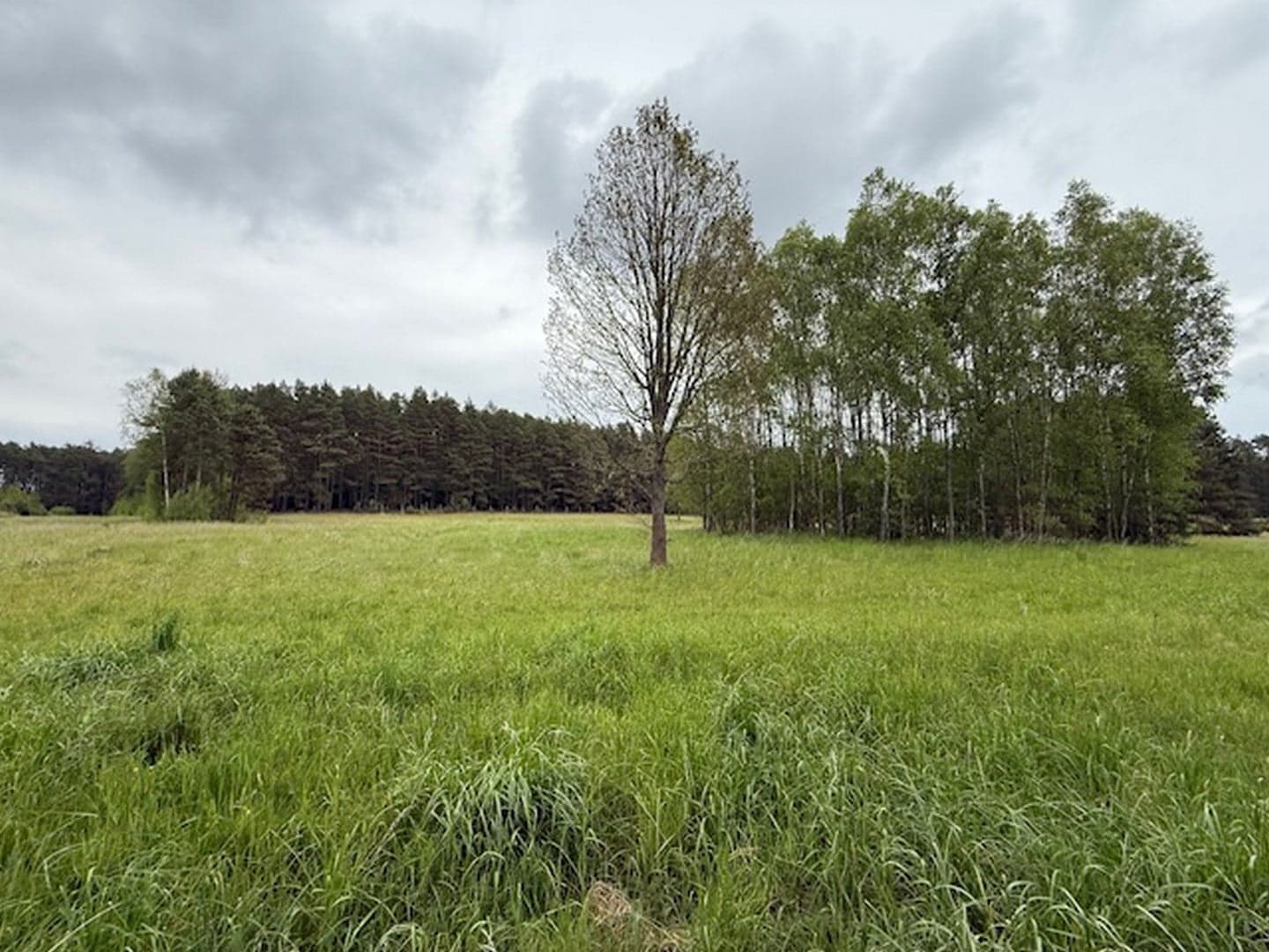 Share in agricultural property in Żelewo