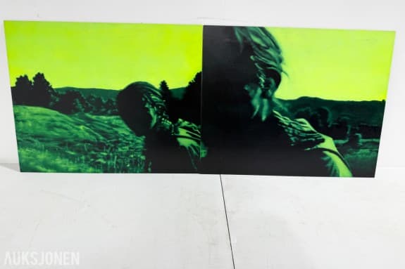 Steinar Jakobsen - AntiGroundShooting (Diptyk)