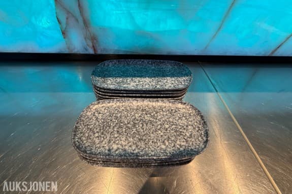 14 stk. rektangulære serveringsfat fra VEGA – 30 x 15 cm – restaurantutstyr