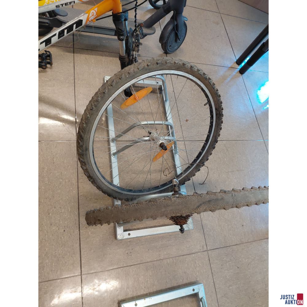 Bicycle frame CTM Stefi
