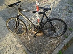 Carver X03 Pro Mountain Bike 29 inch Black