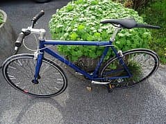 Bicycle Hartje trout blue, 28 inches, blue