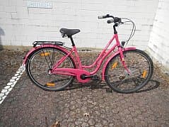 Bicycle Passat Livorno