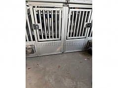Dog transport box